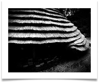 08 Iron Age Contours - Carol Sparkes